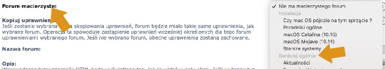 szary tekst.jpg