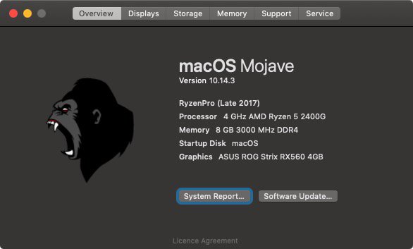 AMD OSX